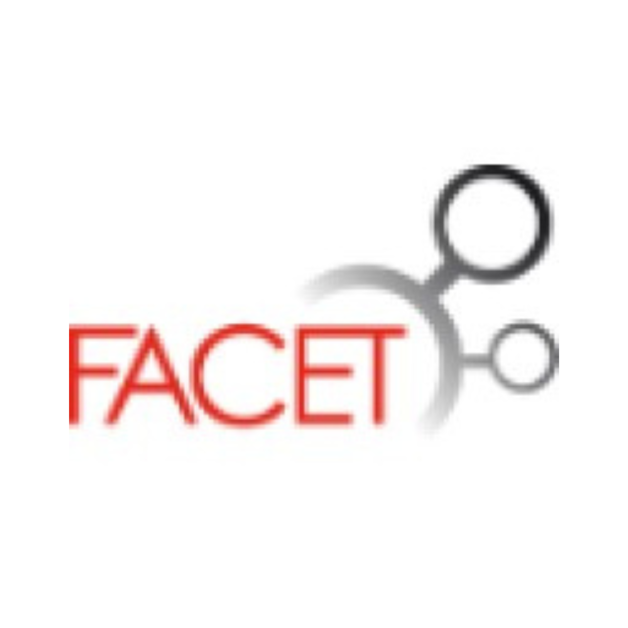 Facet Consulting | Brisbane, AU logo
